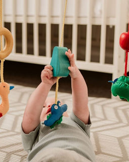 QToys Australia (USA) BABY GYM