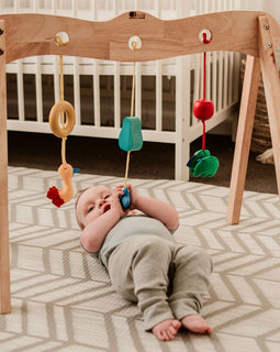 QToys Australia (USA) BABY GYM