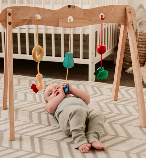 QToys Australia (USA) BABY GYM